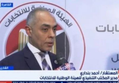 مصر.. الوطنية للانتخابات تغلق 25 مقراً انتخابياً في 117 دولة