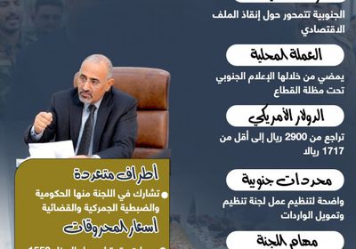 الرئيس الزُبيدي يقود معركة تصحيح مسار الاقتصاد (إنفوجراف)