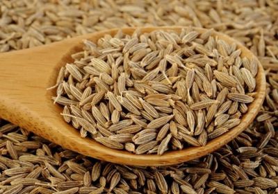 فوائد متعددة لـ"الكمون"