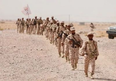 تدريبات العمالقة الجنوبية.. جاهزية عالية ورسائل ردع متعددة