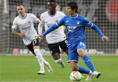 هوفنهايم يضم الدولي التشيكي كوفال لتعويض غياب جوندري