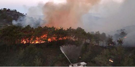       حريق ضخم يقضي على آلاف الهكتارات بفرنسا