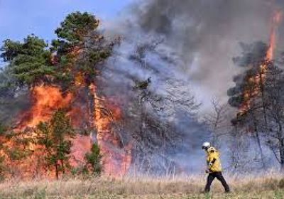حريق غابات في جنوب فرنسا يودي بحياة شخص