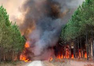 قتيلة وتسعة مصابين جراء حريق غابات في جنوب فرنسا