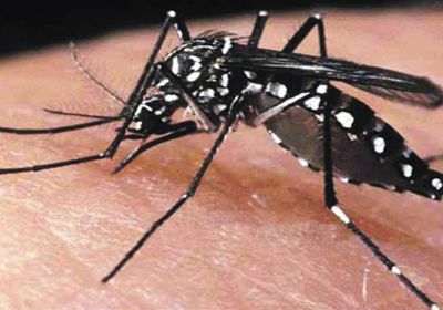 مرض ينتقل بالبعوض في جنوب الصين بعد رياح موسمية