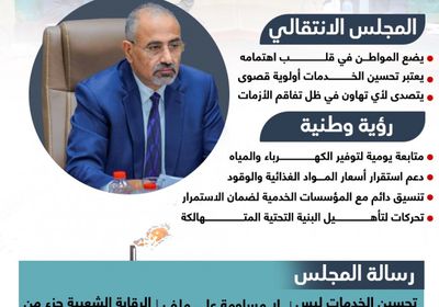 تحسن الخدمات بالجنوب.. ثمرة رؤية وطنية يقودها الانتقالي (إنفوجراف)