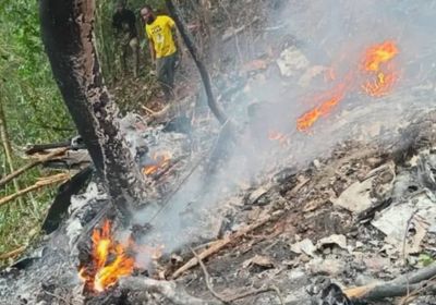 غانا.. مقتل وزيري الدفاع والبيئة إثر تحطم مروحية بمنطقة أشانتي