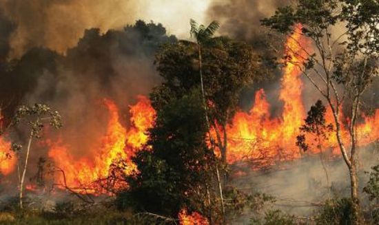 80 مليار دولار خسائر شركات التأمين جراء الكوارث الطبيعية