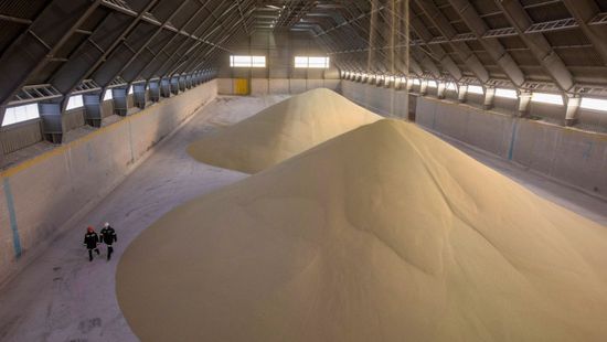 "موزاييك" تتأثر بالرسوم الجمركية الأمريكية على الأسمدة