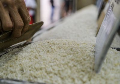 الفلبين: تعليق استيراد الأرز 60 يومًا بهدف دعم المزارعين