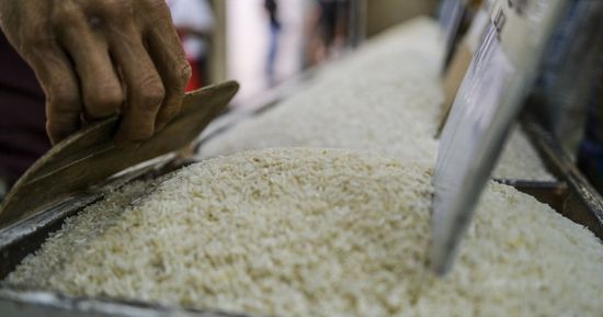 الفلبين: تعليق استيراد الأرز 60 يومًا بهدف دعم المزارعين