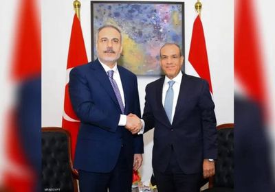 مصر وتركيا: لن نسمح بتهجير الفلسطينيين