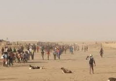 الجيش النيجري يؤكد إنقاذ نحو 50 مهاجرًا في الصحراء