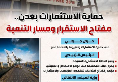 حماية الاستثمارات بعدن.. مفتاح الاستقرار ومسار التنمية (إنفوجراف)