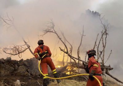       بسبب حرائق الغابات.. إجلاء أكثر من ألفي شخص بإسبانيا