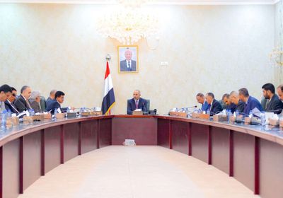 لجنة الإيرادات تناقش تدابير الحفاظ على استقرار أسعار الصرف