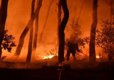 حرائق الغابات تستعر في اليونان لليوم الثاني وإجلاء الآلاف