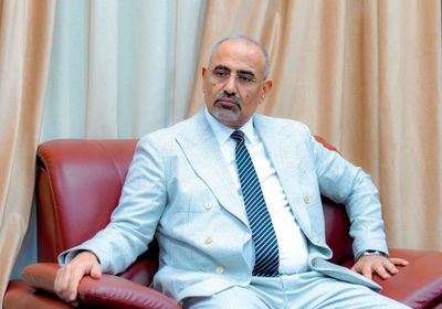 الجنوب والمنظمات الدولية.. تنسيق متواصل لتخفيف أعباء الحرب