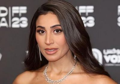 ارتباط دينا الشربيني من كريم محمود عبد العزيز.. ما الحقيقة؟