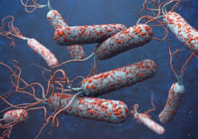 40 وفاة على الأقل بالكوليرا خلال أسبوع في دارفور