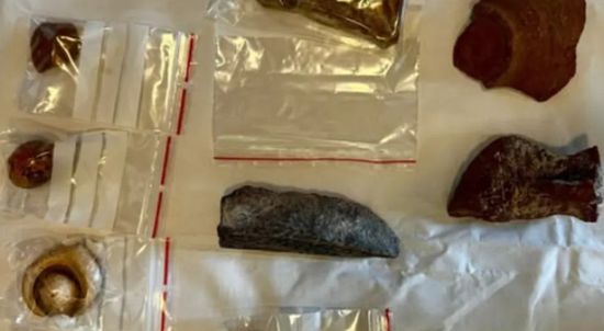 مصر تتسلم مجموعة قطع أثرية نادرة من هولندا