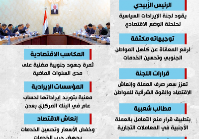 لجنة الإيرادات.. دور حاسم لمجابهة الأزمة الاقتصادية (إنفوجراف)