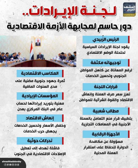 لجنة الإيرادات.. دور حاسم لمجابهة الأزمة الاقتصادية (إنفوجراف)