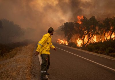 تحذير من مخاطر حرائق الغابات في المغرب