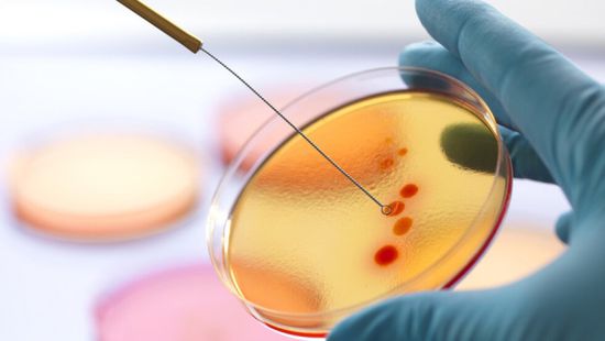 ذكاء اصطناعي يكتشف مضادات حيوية جديدة