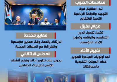 فرق التوجيه.. الانتقالي يراقب أداء هيئاته (إنفوجراف)