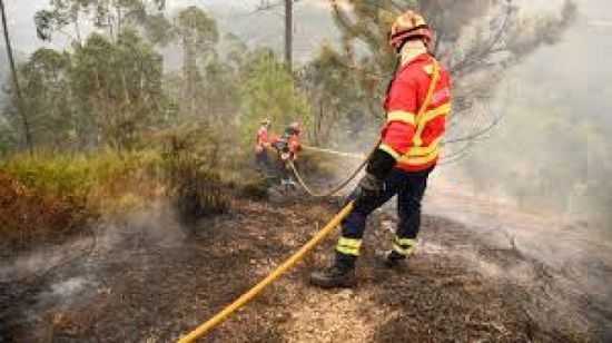 إصابة رجل إطفاء في حريق بالبرتغال خلال فرار الطاقم من النيران