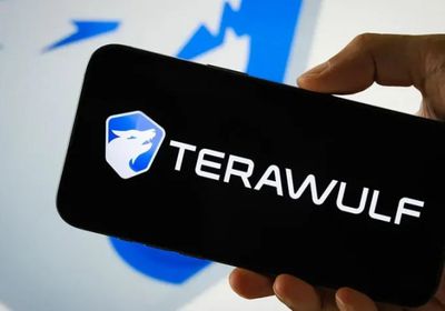 سهم "تيراوولف" يرتفع بعد زيادة "جوجل" حصتها