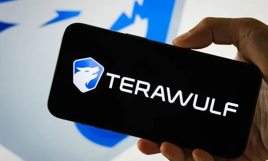 سهم "تيراوولف" يرتفع بعد زيادة "جوجل" حصتها