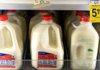 الصين تمدد تحقيقًا في واردات الألبان من الاتحاد الأوروبي