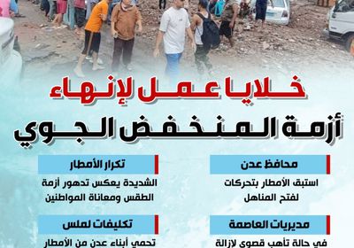 خلايا عمل لإنهاء أزمة المنخفض الجوي (إنفوجراف)