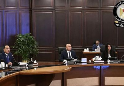 رئيس الوزراء المصري: علاقاتنا مع الإمارات نموذج للتعاون العربي