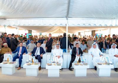 الإمارات والجنوب.. شراكة استراتيجية ومصير مشترك