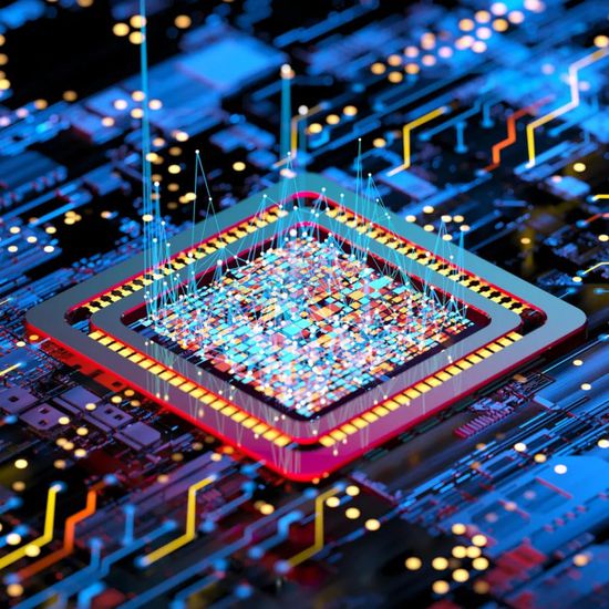 وزير الخزانة الأمريكي: هيمنة تايوان على صناعة الرقائق خطر