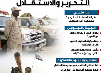 الجيش الجنوبي.. الركيزة الأساسية في معركة التحرير والاستقلال (إنفوجراف)