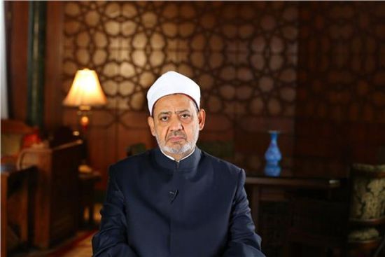 شيخ الأزهر: التضامن العربي والإسلامي الحل الوحيد للقضية الفلسطينية