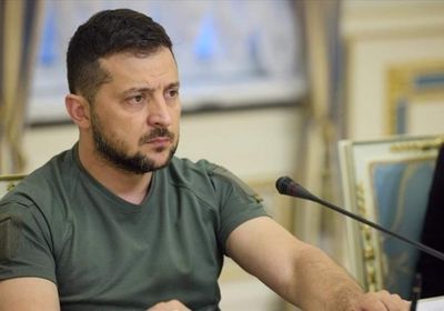 زيلينسكي: ما يقرب من 60 من الأسلحة صناعة محلية