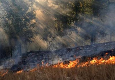 مئات من رجال الإطفاء يواصلون مكافحة حرائق الغابات في البرتغال وإسبانيا