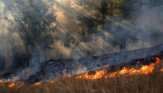 مئات من رجال الإطفاء يواصلون مكافحة حرائق الغابات في البرتغال وإسبانيا