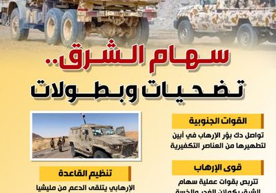 سهام الشرق.. تضحيات وبطولات (إنفوجراف)