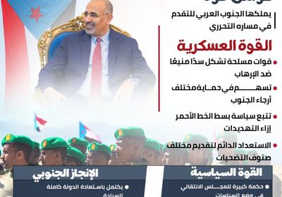 الجنوب العربي.. قوة حاضرة على الأرض (إنفوجراف)