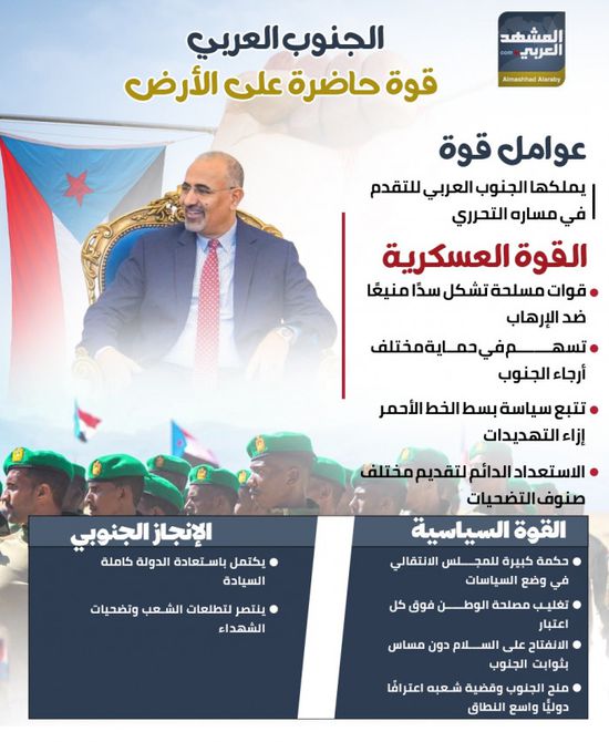 الجنوب العربي.. قوة حاضرة على الأرض (إنفوجراف)