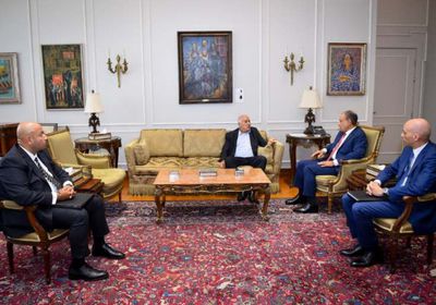 وزير الخارجية المصري يبحث مع جبريل الرجوب سبل الاعتراف بالدولة الفلسطينية