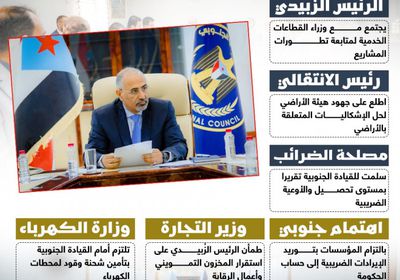 القيادة الجنوبية تقود مرحلة بناء المؤسسات (إنفوجراف)