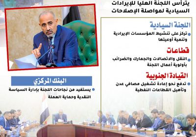 لجنة الإيرادات السيادية.. نجاحات اقتصادية مشهودة (إنفوجراف)