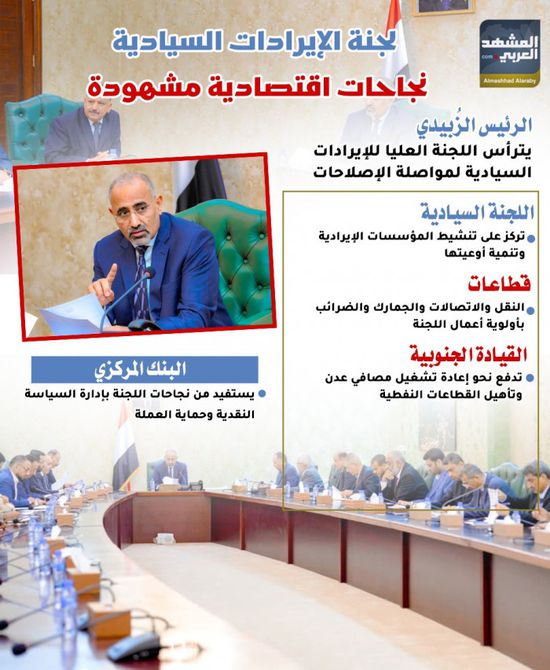 لجنة الإيرادات السيادية.. نجاحات اقتصادية مشهودة (إنفوجراف)